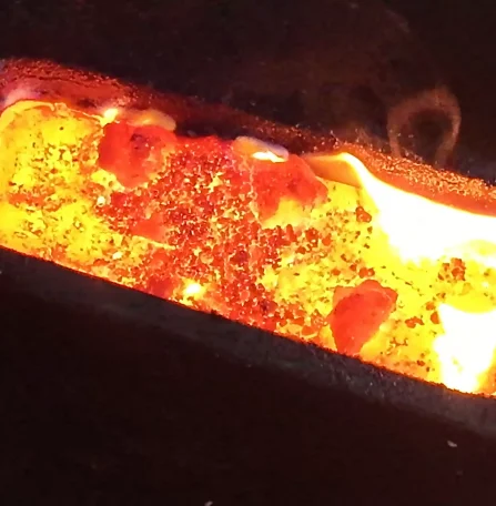 Sürdürülebilirlik Neden Önemli?